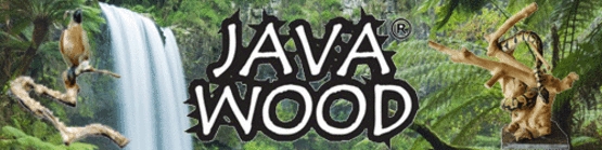 JAVA WOOD